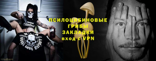 ПСИЛОЦИБИНОВЫЕ ГРИБЫ Балахна