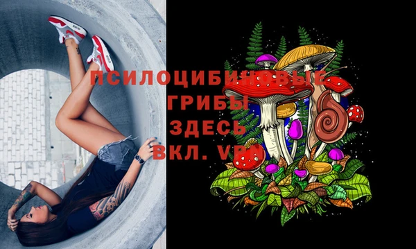 COCAINE Баксан