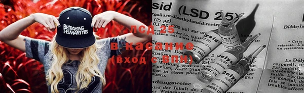 ПСИЛОЦИБИНОВЫЕ ГРИБЫ Балахна