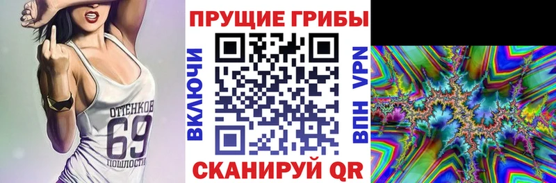 Псилоцибиновые грибы GOLDEN TEACHER  закладки  Лахденпохья 